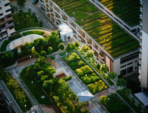 Green Sustainable Architecture